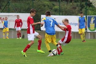 半岛体育官网app-保加利亚队双杀对手,欧洲杯资格赛演绎壮丽