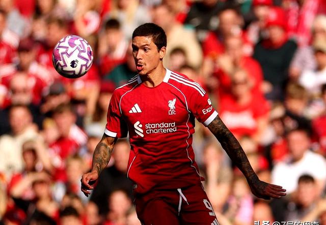 半岛体育网页版登录入口-利物浦青训球员表现出色,赢得瞩目的简单介绍